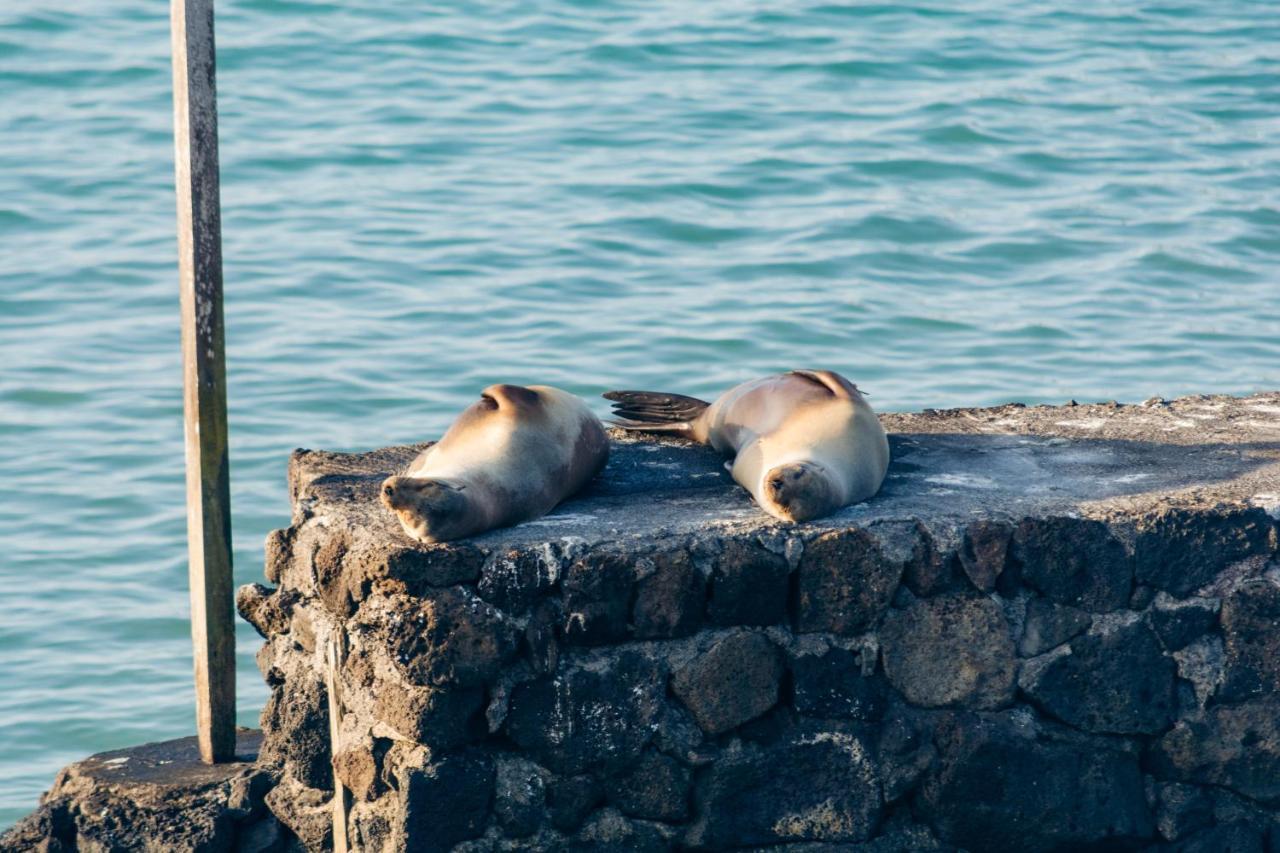 Blu Galapagos Sustainable Waterfront